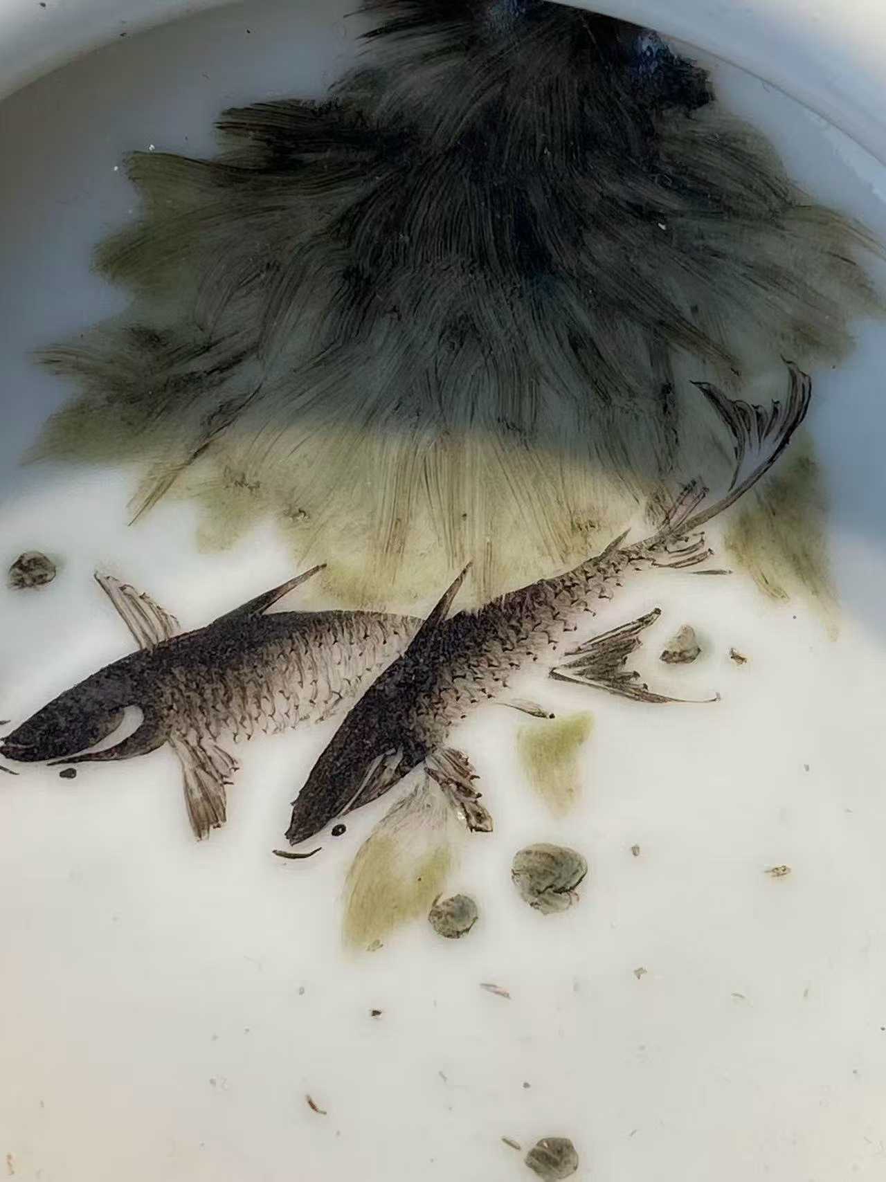 邓碧珊风格粉彩鱼藻纹笔洗 款：江西景镇名瓷