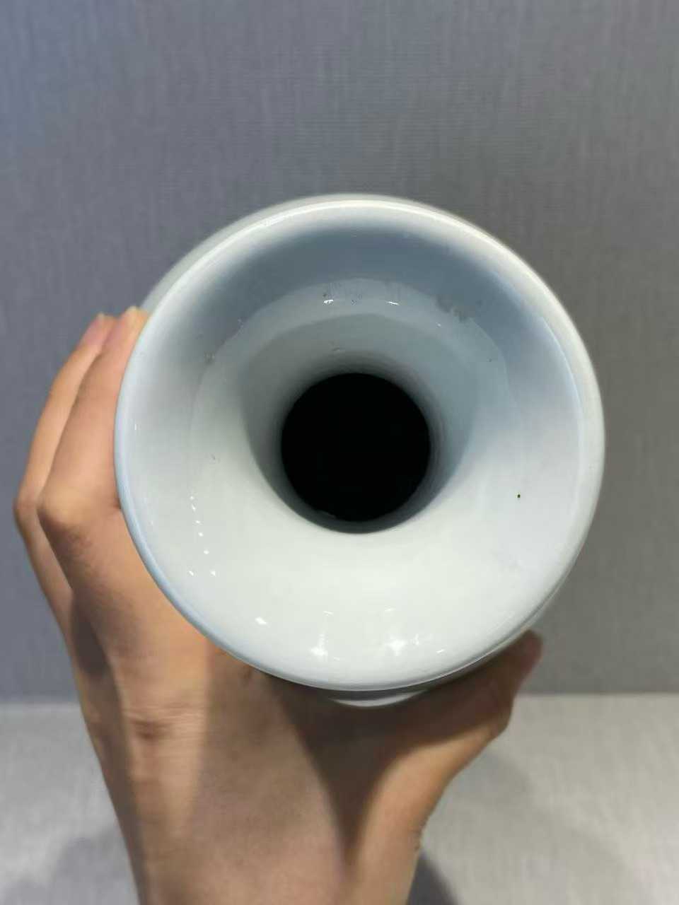 白釉胭脂红螭龙灵芝纹撇口瓶