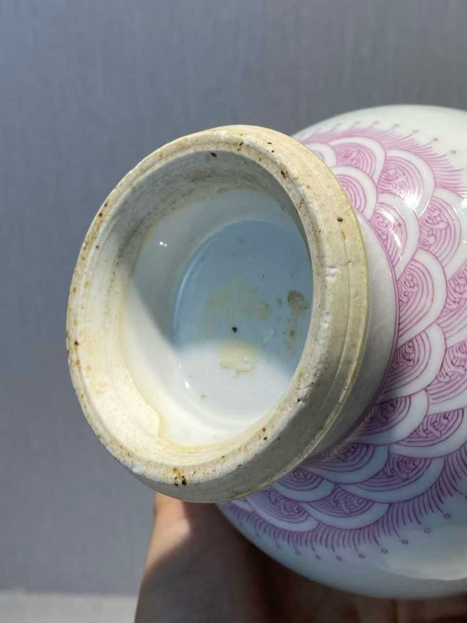 白釉胭脂红螭龙灵芝纹撇口瓶