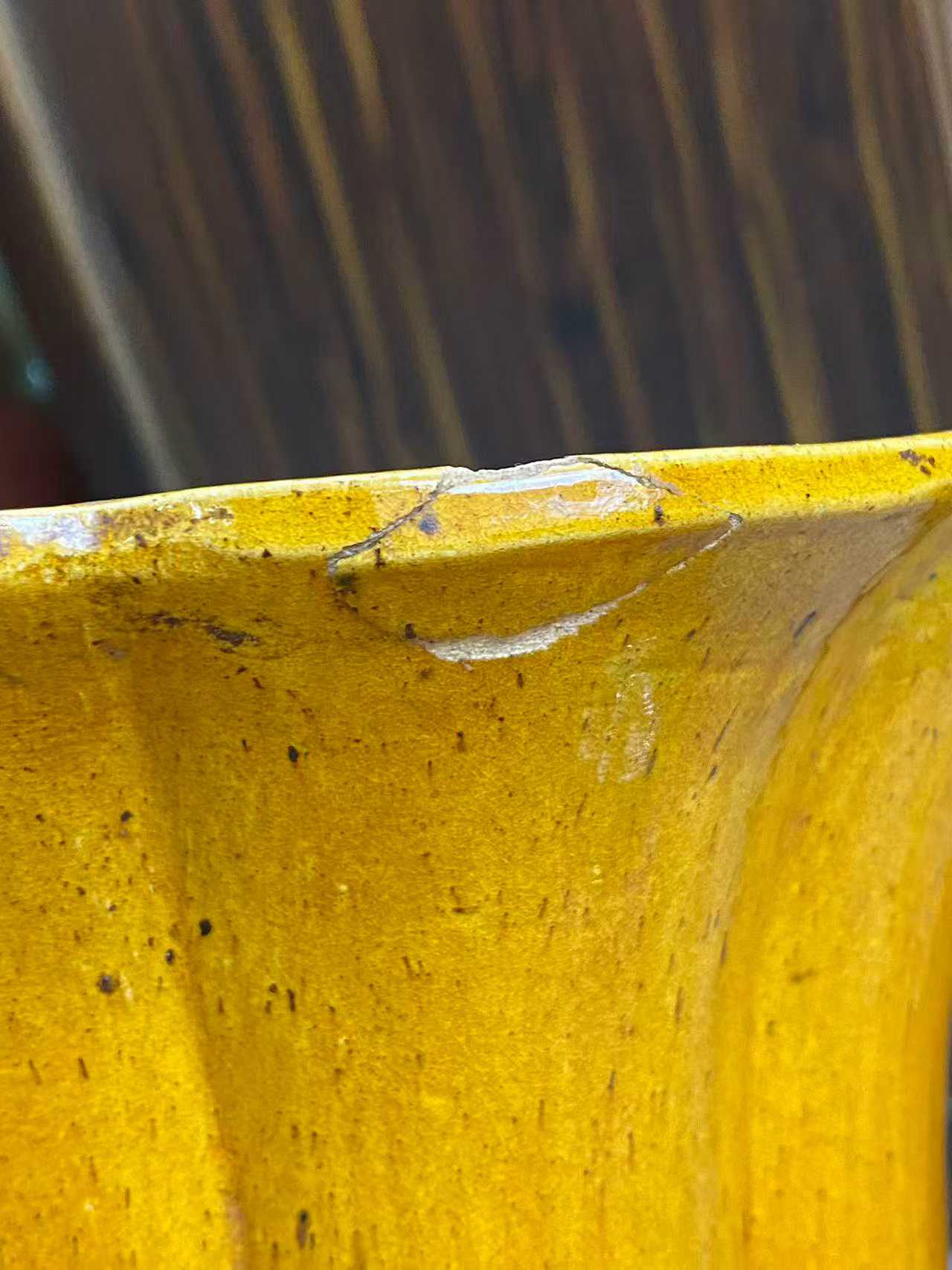 素三彩鱼化龙纹海棠式兽耳大尊