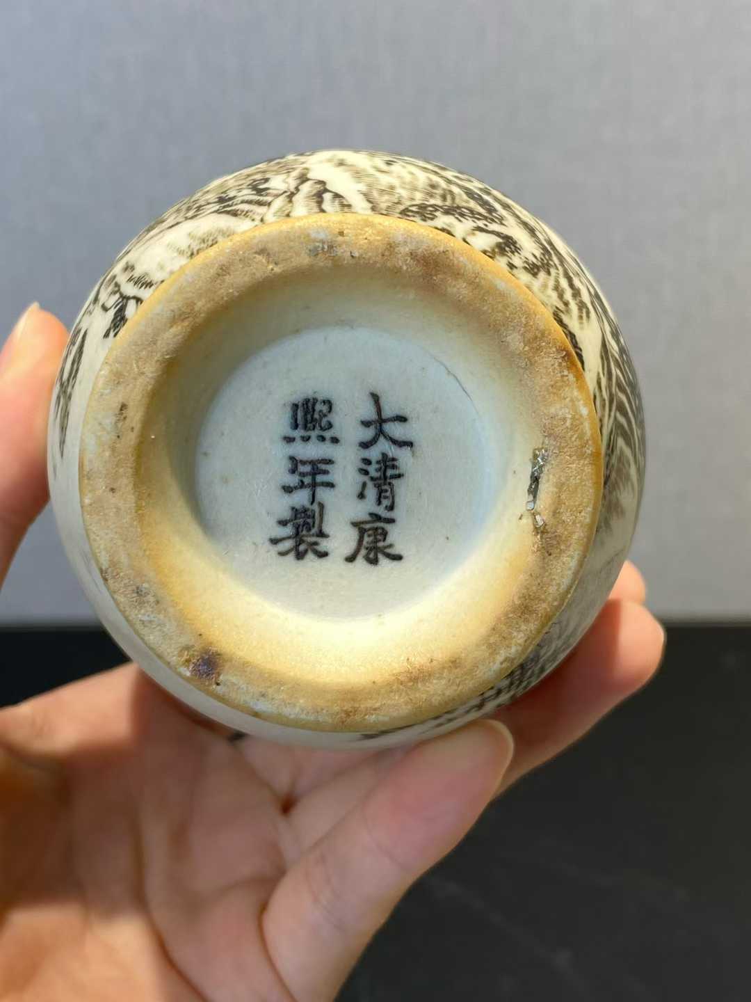 反瓷墨彩松鹤延年盘口瓶 款：大清康熙年制