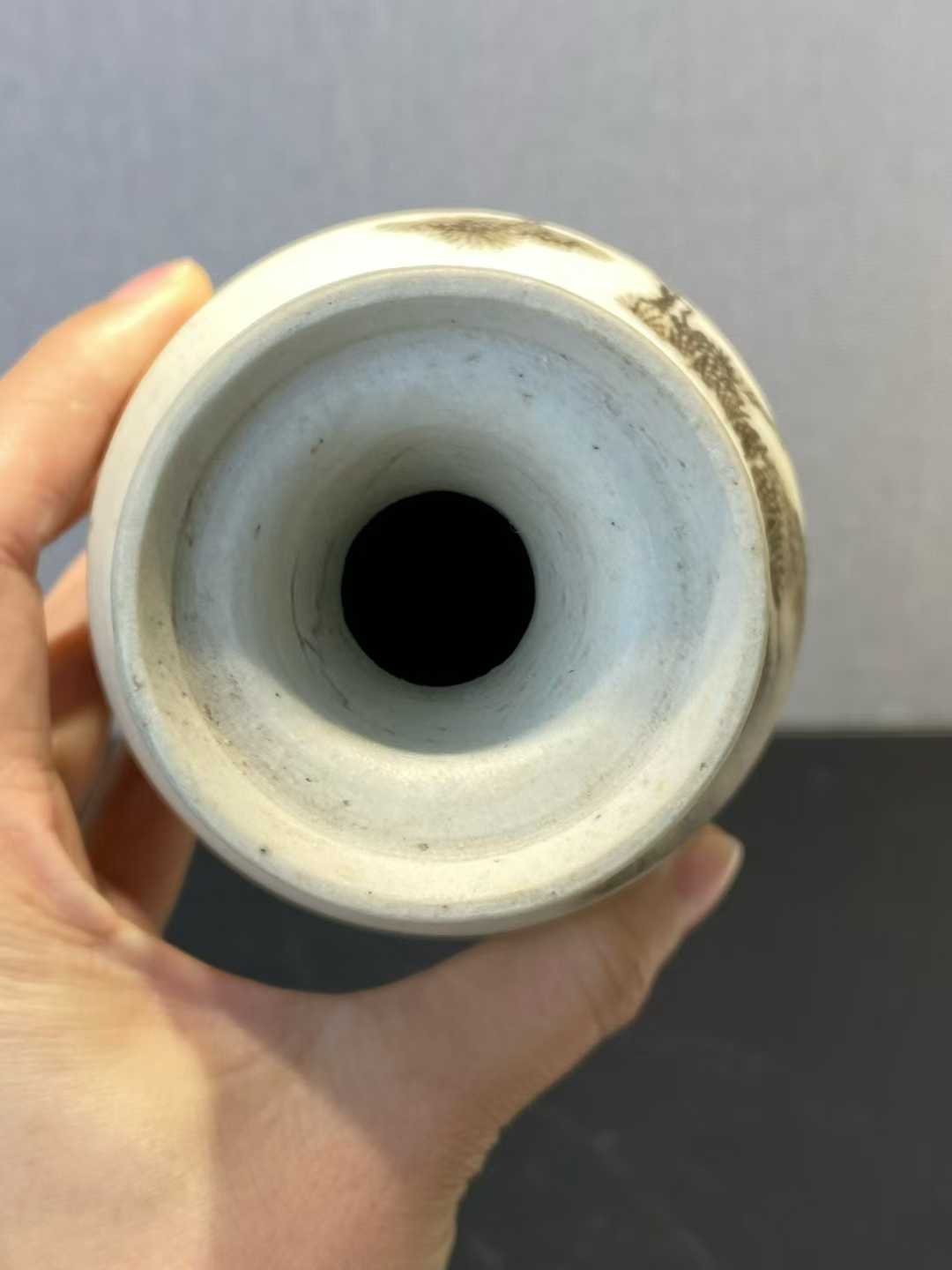 反瓷墨彩松鹤延年盘口瓶 款：大清康熙年制