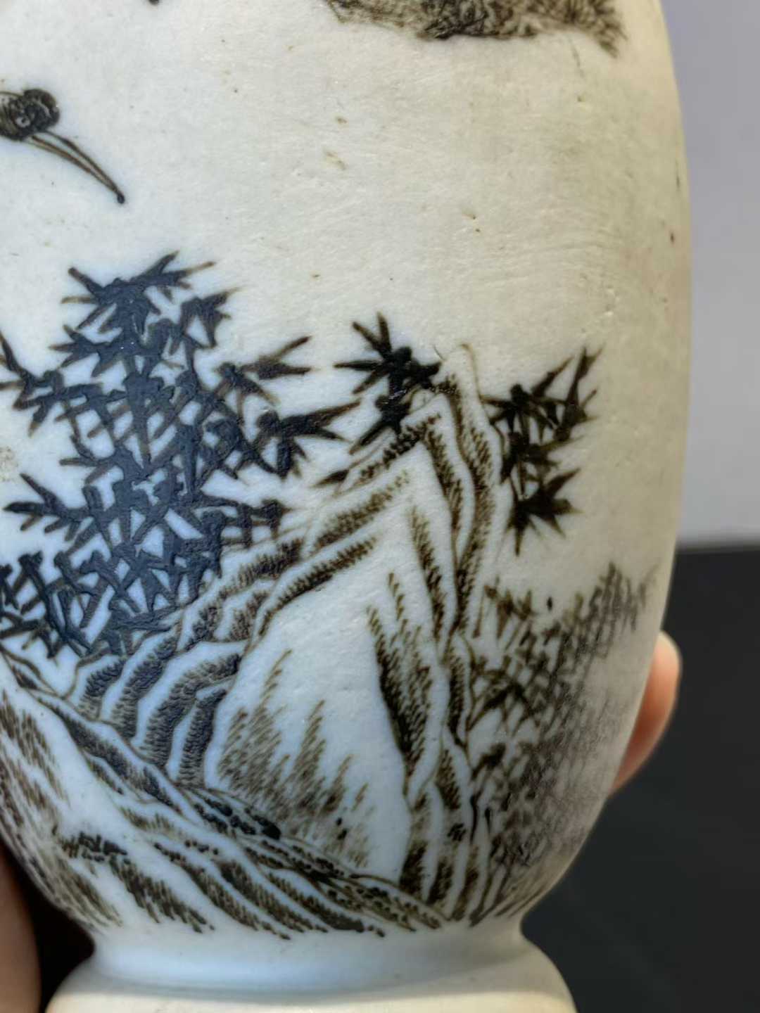 反瓷墨彩松鹤延年盘口瓶 款：大清康熙年制