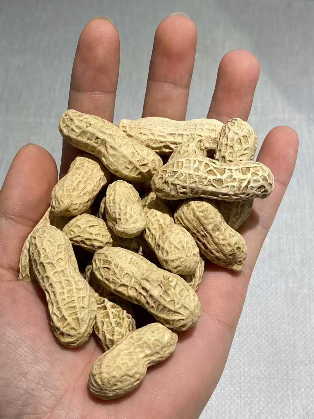 仿生瓷花生一组（36个）