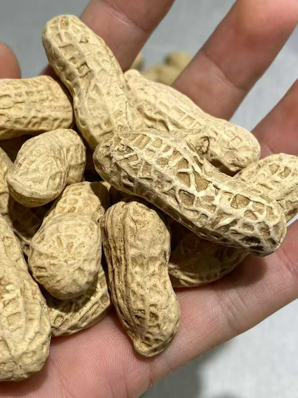 仿生瓷花生一组（36个）