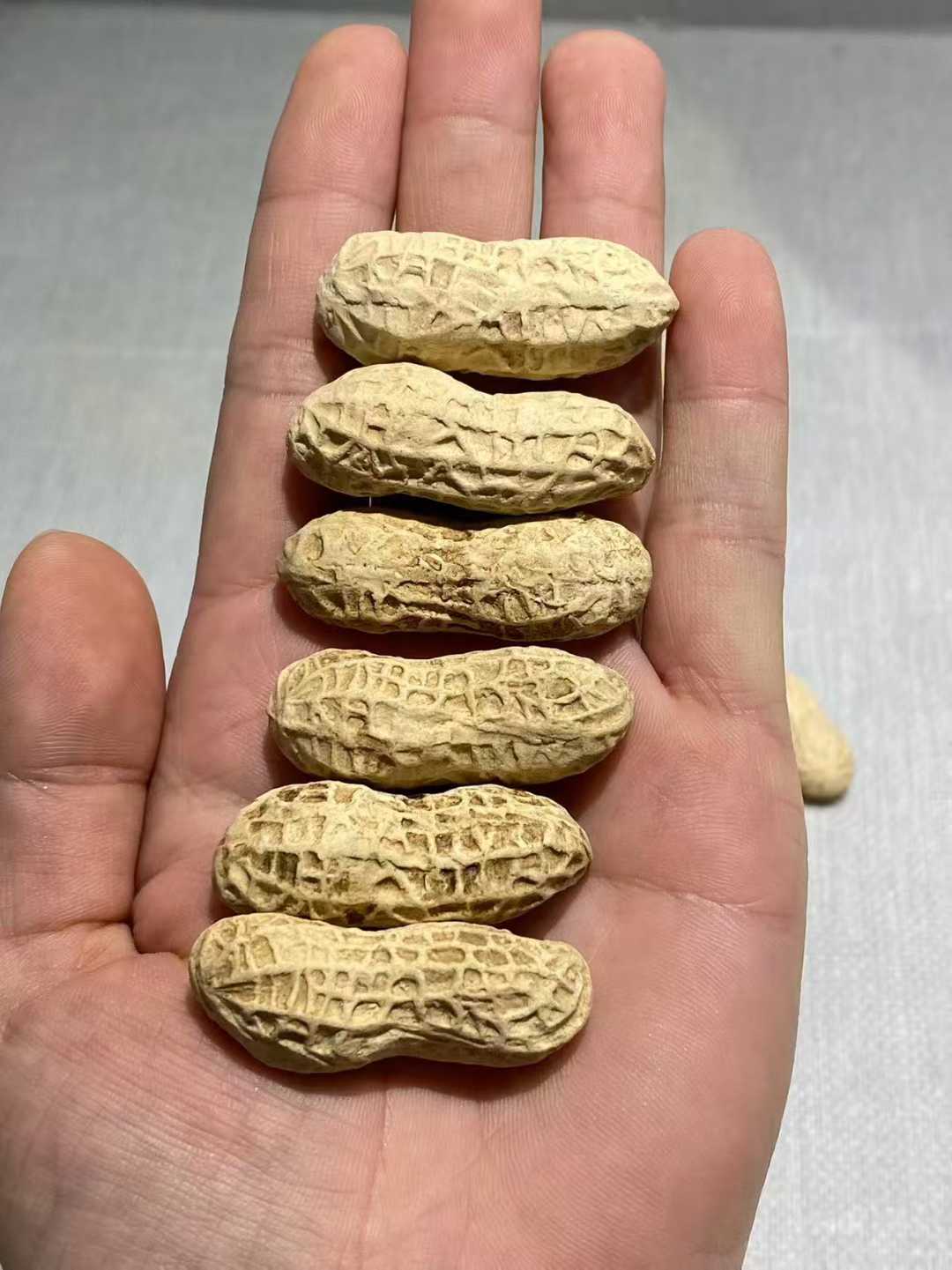 仿生瓷花生一组（36个）