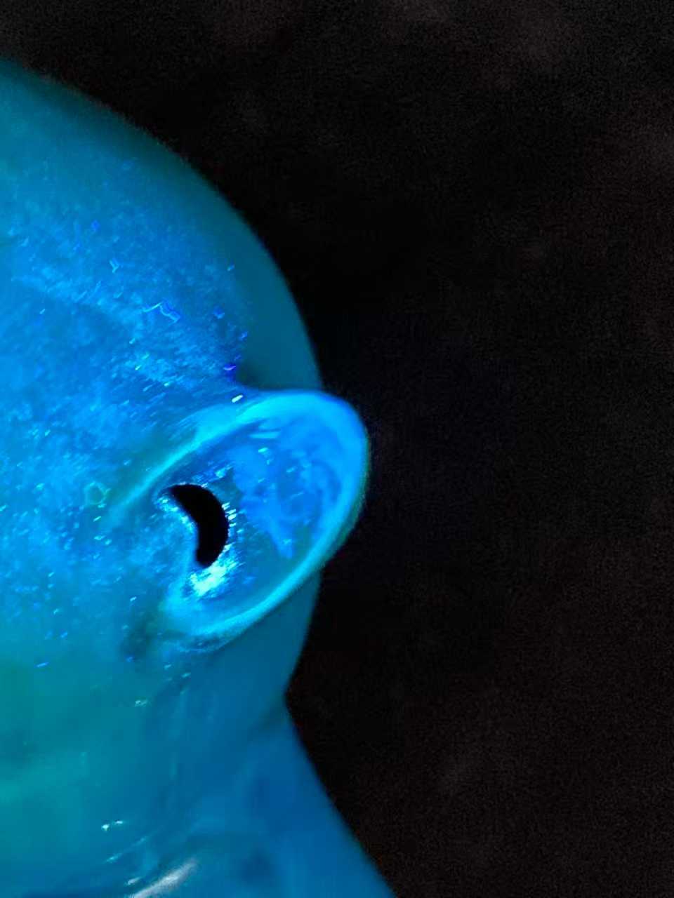 孔雀蓝釉猫一对