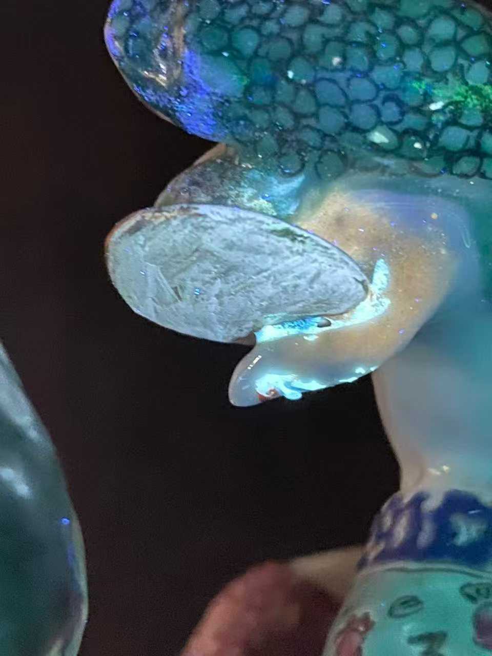 粉彩刘海戏金蟾塑像配木座 款：魏洪泰