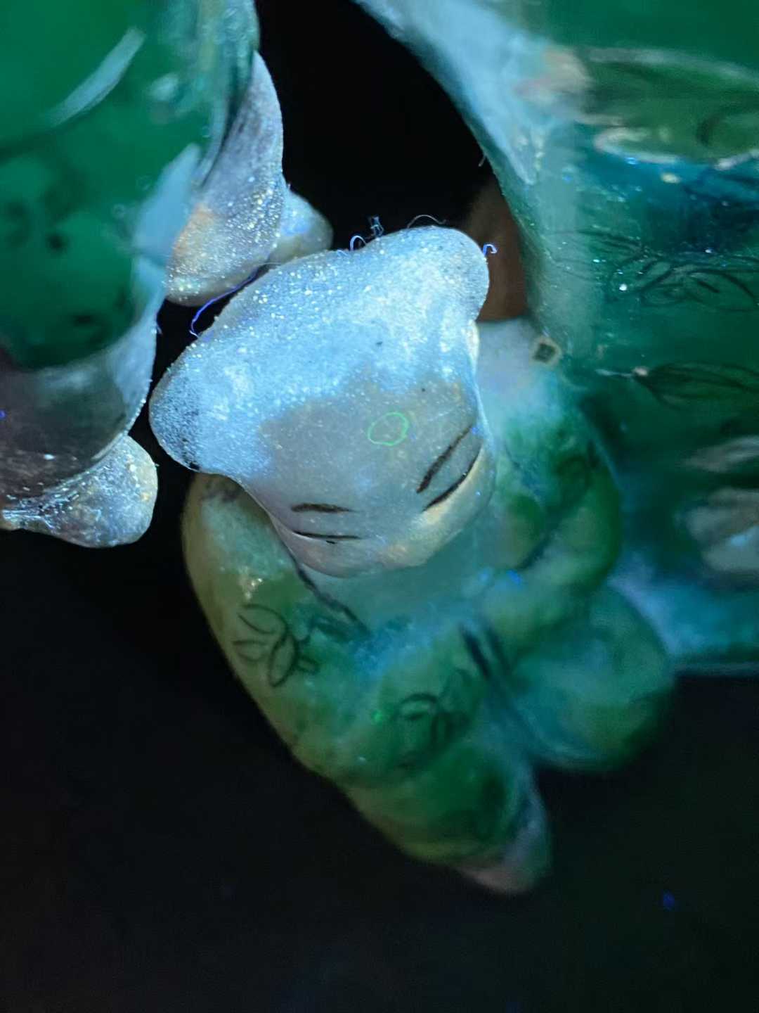 素三彩花卉纹五子登科瓶