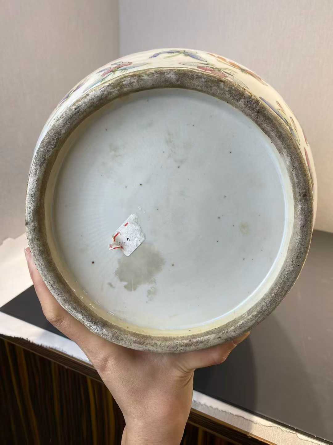 粉彩百蝶纹蟠龙花口瓶