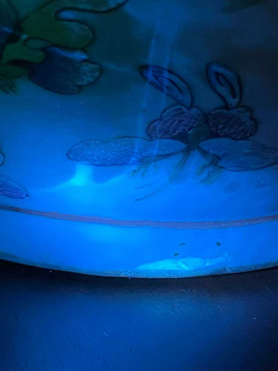 粉彩百蝶纹蟠龙花口瓶