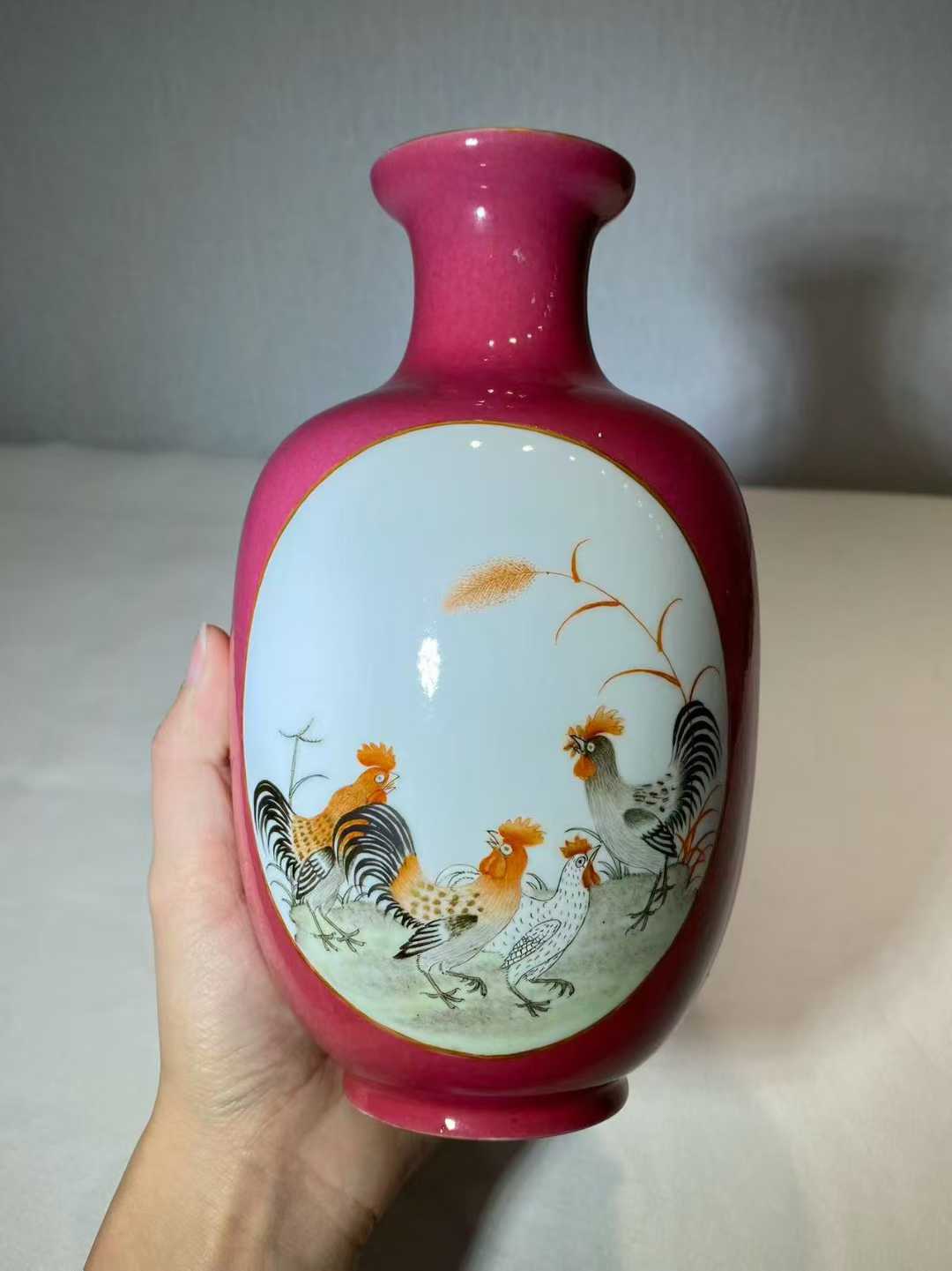 胭脂红地开窗粉彩大吉图灯笼瓶  款：乐善堂制