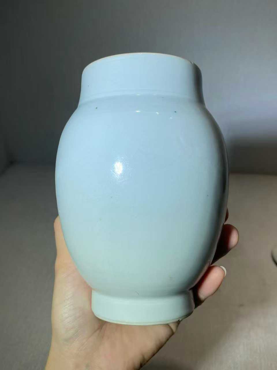 白釉暗刻花鸟纹莲子罐