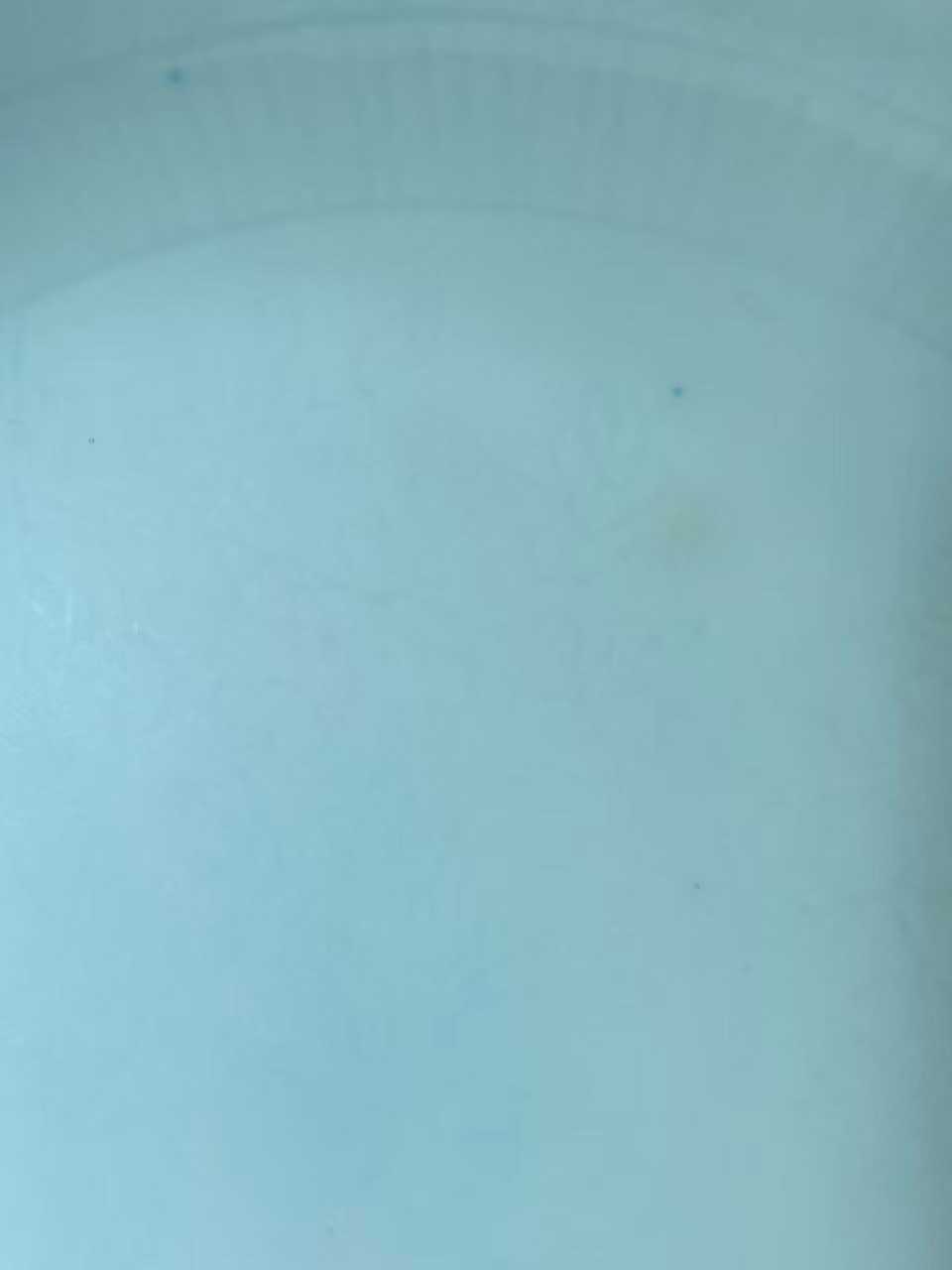 粉青釉暗刻花卉纹盘一对（一大一小）款：双照楼制