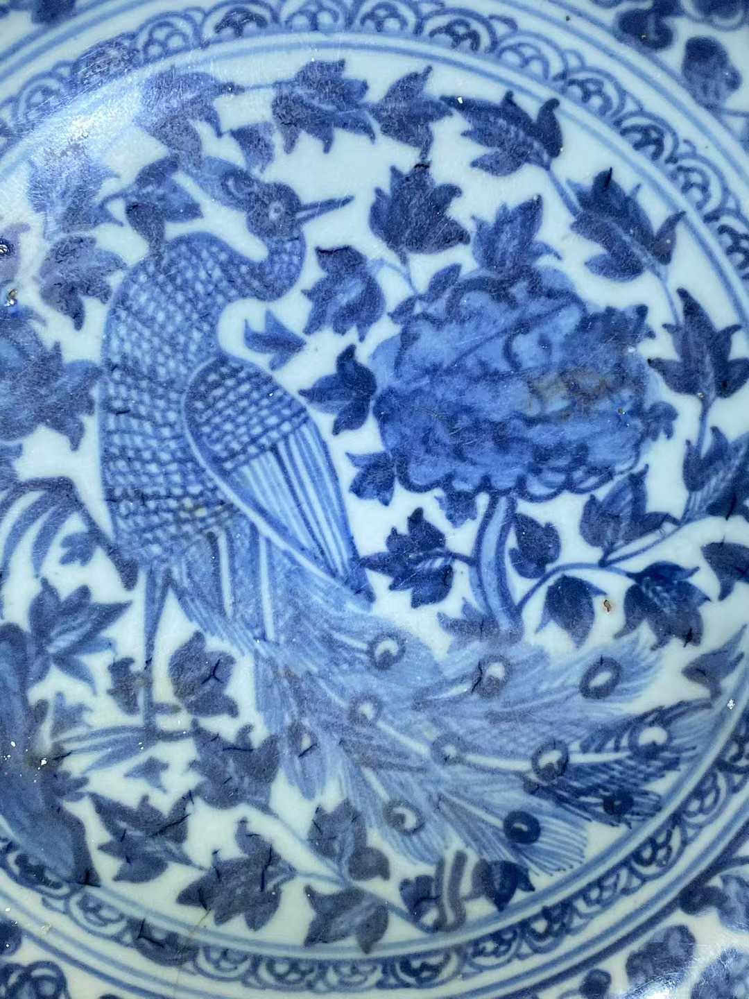 青花孔雀牡丹纹盘