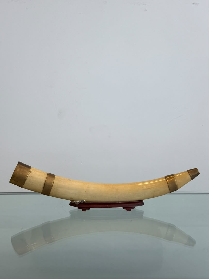 牙尖