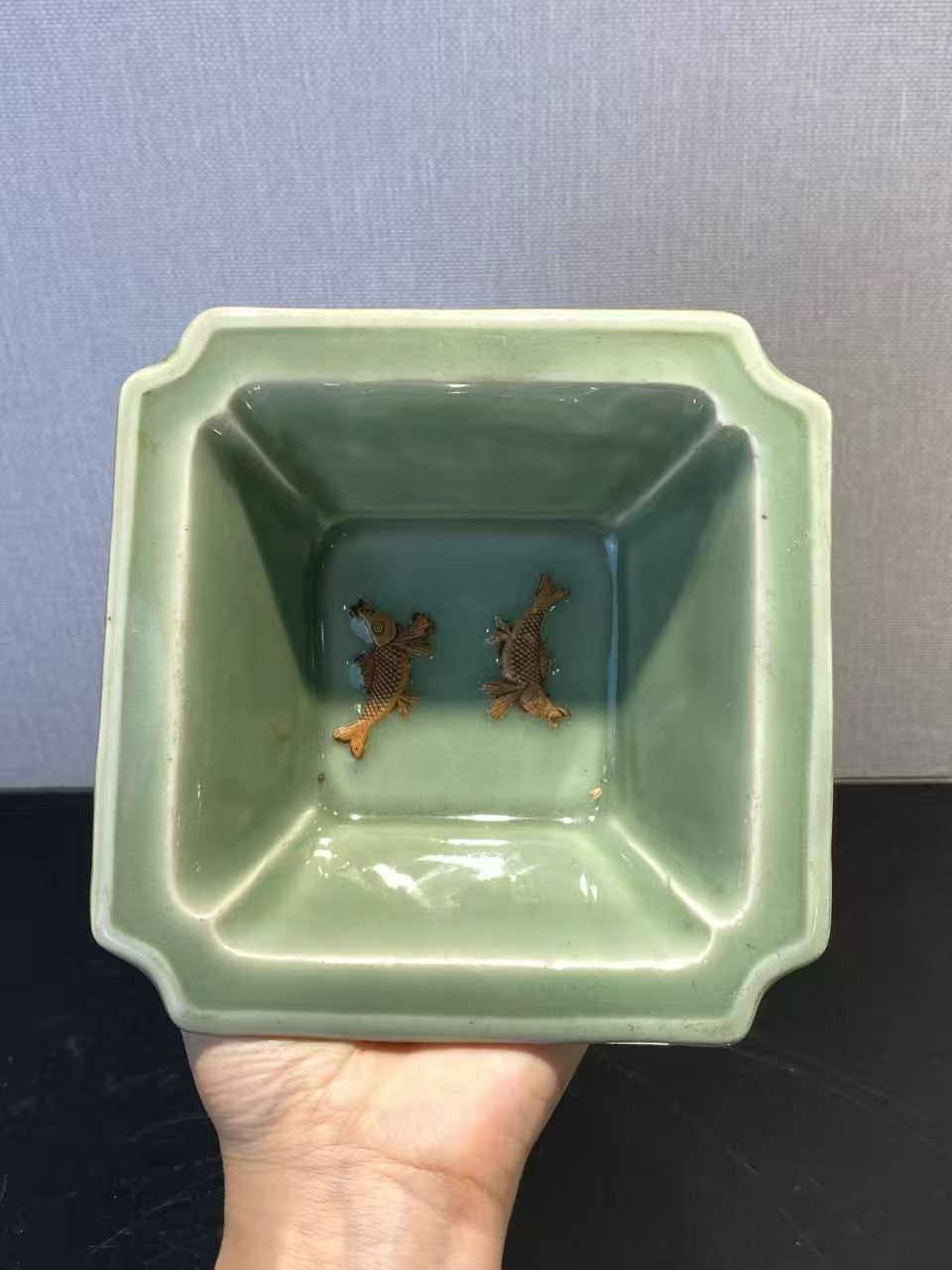 景德镇窑双鱼洗带木盒