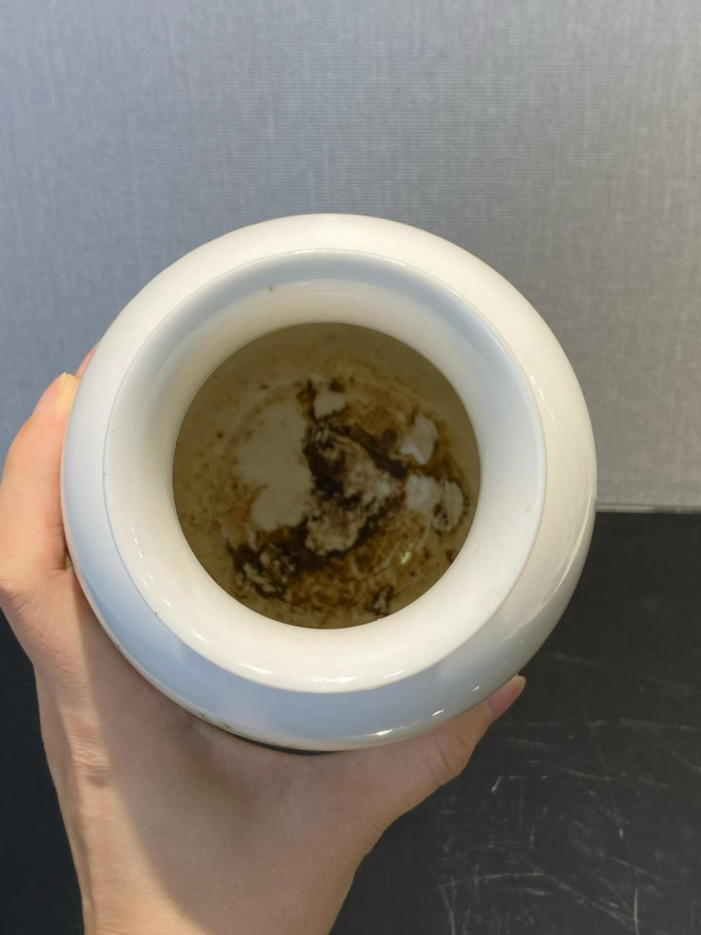 珐琅彩八骏图诗文灯笼瓶