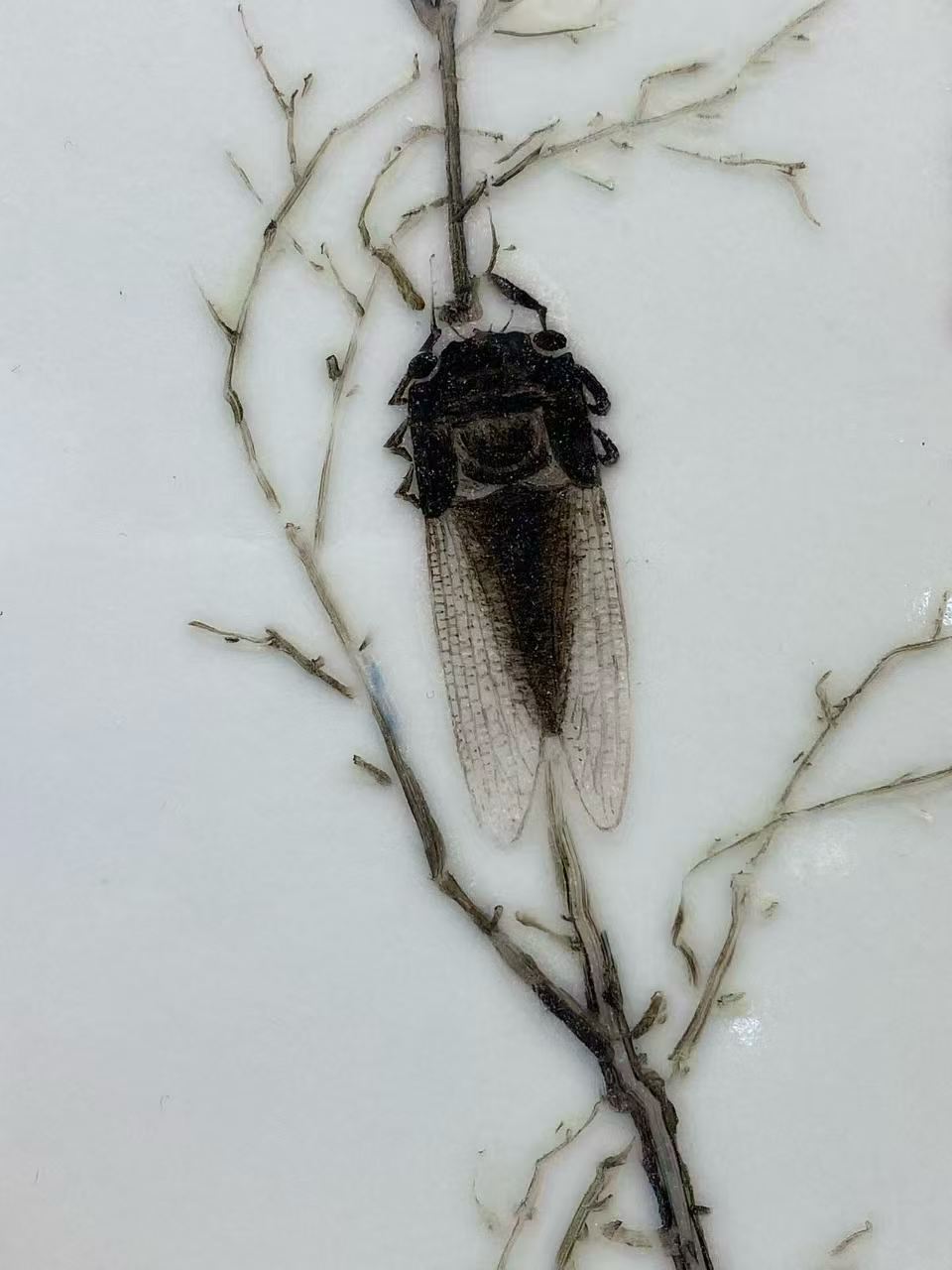 粉彩花虫纹小瓷板四块